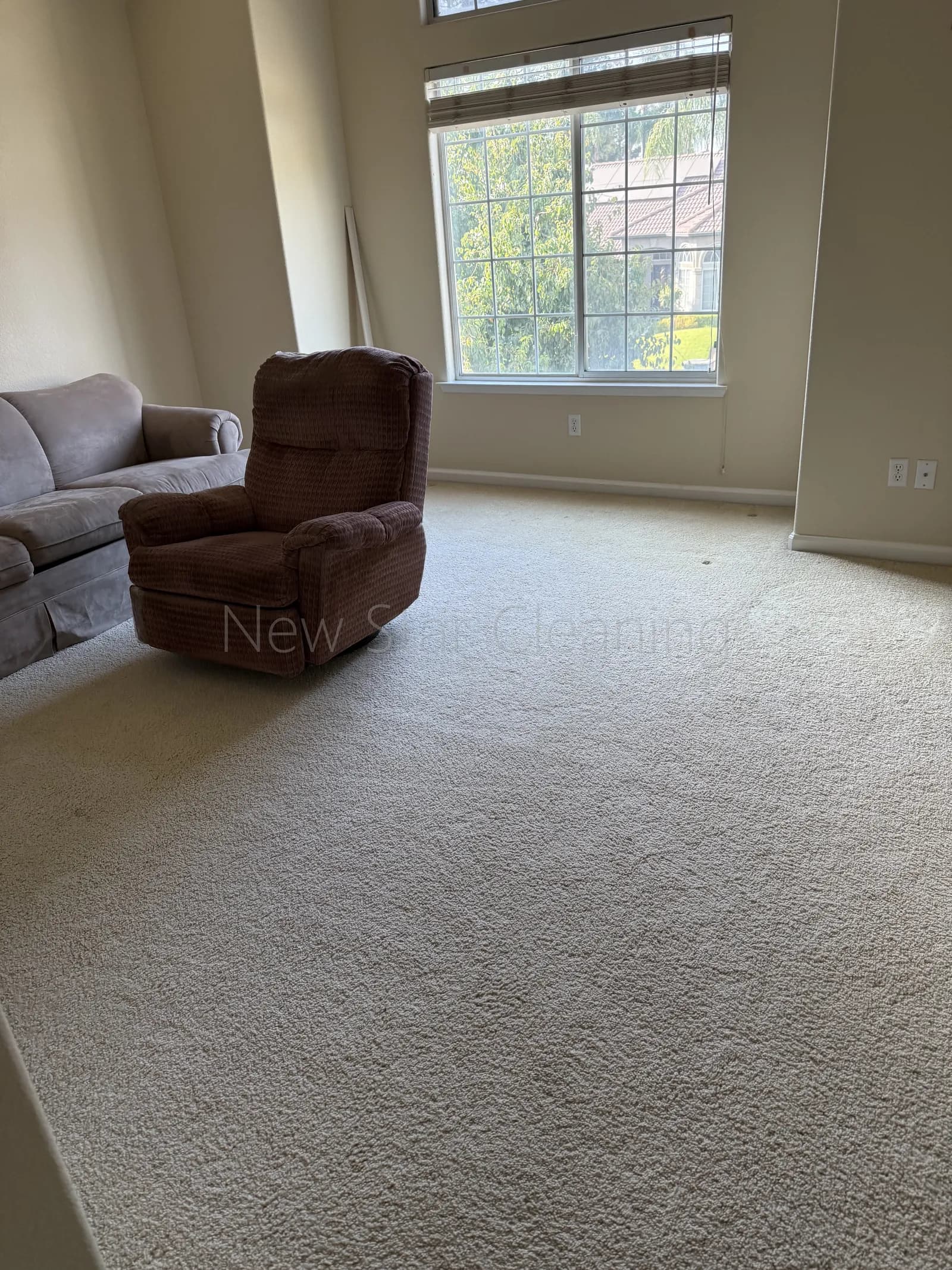 Living room with freshly vacuumed carpet, sofa, and large grid window after a New Star visit